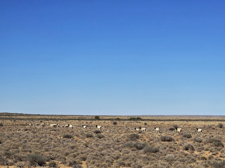 Commercial Property for Sale in Calvinia Rural Northern Cape